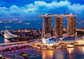 新葡萄(8883·AMG)免费版