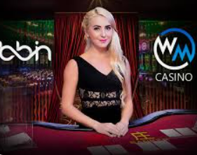 新葡萄(8883·AMG)最新版