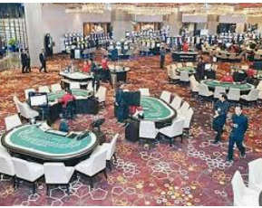 新葡萄(8883·AMG)2024最新版