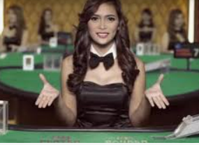 新葡萄(8883·AMG)2024最新版